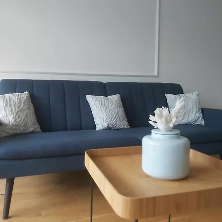 公寓 Apartament Sokolowska Metro Mlynow 华沙
